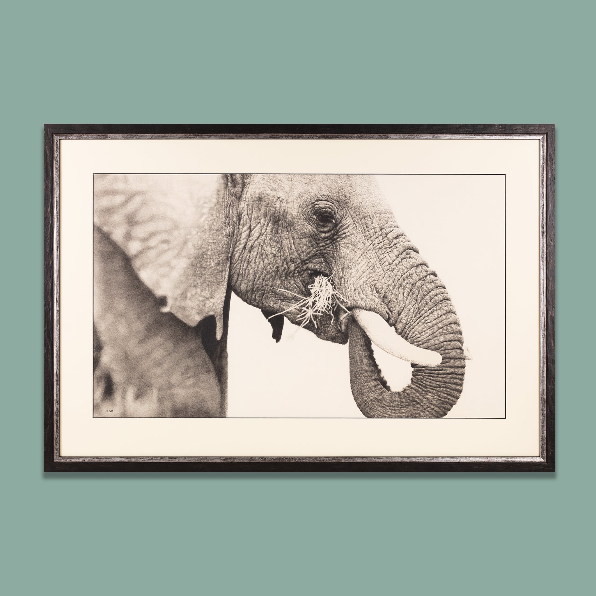 African Elephant Ink drawing by Uma Krishnamoorthy | Artfinder
