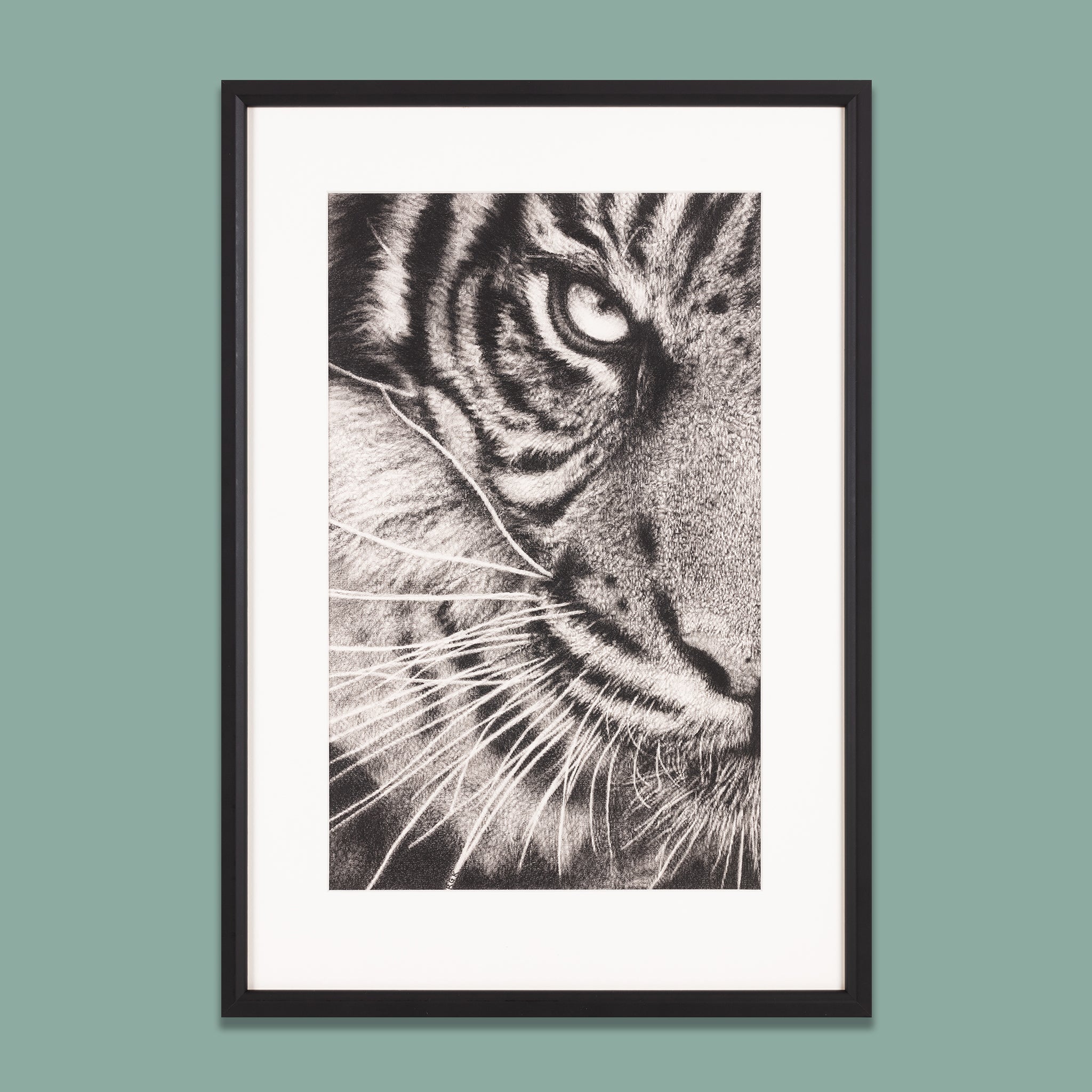 Angry tiger stock illustration. Illustration of sketch - 91575461